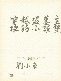 穿越盗墓主受多攻的小说双男