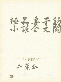 极品妻子的背叛小说全文阅读