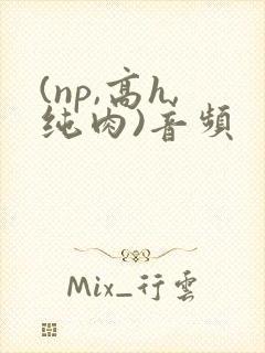 (np,高h,纯肉)音频