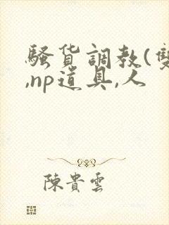 骚货调教(双性,np道具,人