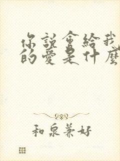 你说会给我永远的爱是什么歌