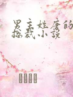 男主姓唐的霸道总裁小说