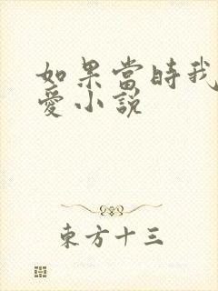 如果当时我说了爱小说