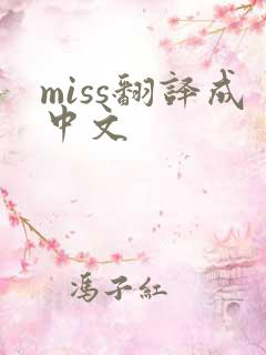 miss翻译成中文