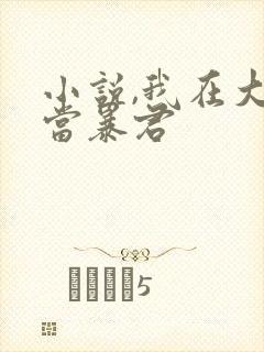 小说,我在大明当暴君