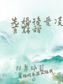 先婚后爱凌总追有点甜