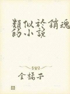 类似于销魂艳婢的小说