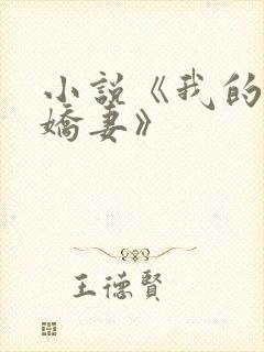 小说《我的极品娇妻》