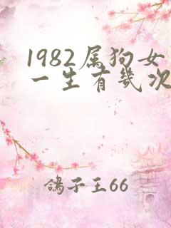 1982属狗女一生有几次婚姻