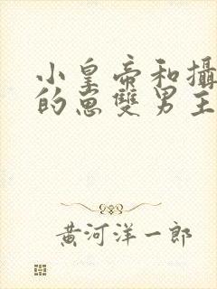 小皇帝和摄政王的崽双男主