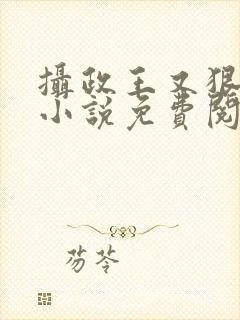 摄政王又狠又凶小说免费阅读