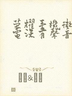 荣耀手机微信来电没有声音怎么办