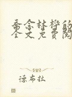 乔念林桦的小说全文免费阅读无弹窗