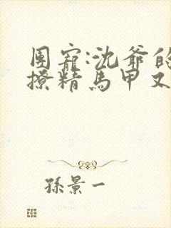 团宠:沈爷的小撩精马甲又被扒了