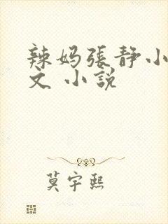 辣妈张静小说全文 小说