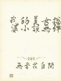 我的美女总裁老婆小说无弹窗