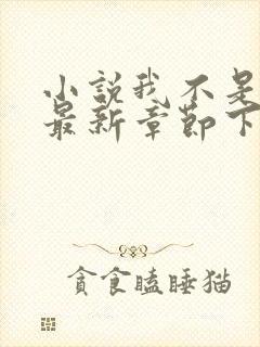 小说我不是戏神最新章节下载