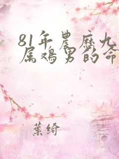81年农历九月属鸡男的命运