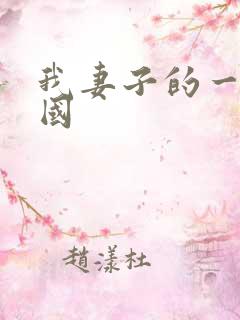 我妻子的一切韩国