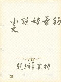 小说好看的高干文