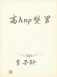 高hnp双男