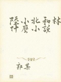 陆小北和林程是什么小说