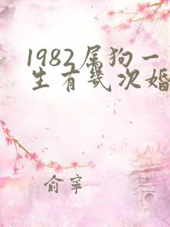 1982属狗一生有几次婚姻