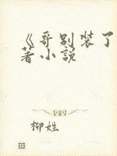 《哥别装了》原著小说