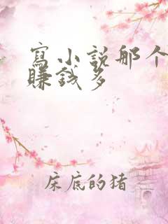 写小说那个软件赚钱多