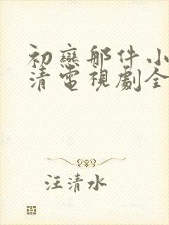 初恋那件小事高清电视剧全集免费观看