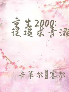 重生2000:从追求青涩校花同桌开始第二部