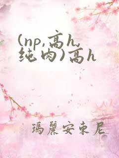 (np,高h,纯肉)高h