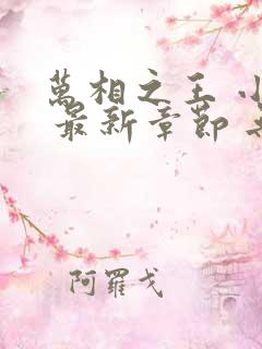 万相之王 小说 最新章节 无弹窗