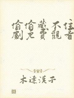 偷偷藏不住电视剧免费观看全