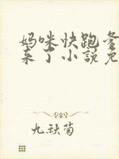 妈咪快跑爹地追来了小说免费阅读