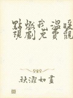 点燃我温暖你电视剧免费观看全集