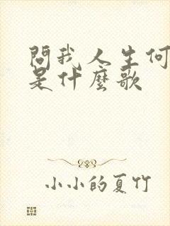 问我人生何所求是什么歌