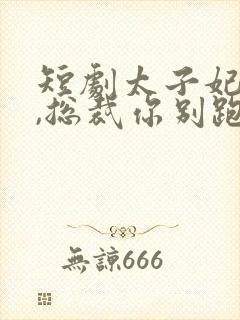 短剧太子妃驾到,总裁你别跑