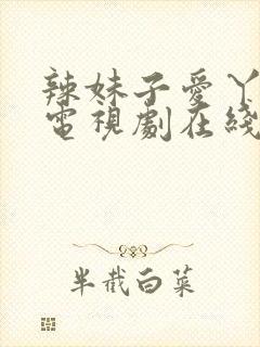 辣妹子爱丫爱丫电视剧在线观看