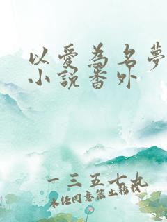 以爱为名梦筱二小说番外