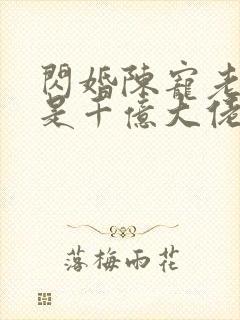 闪婚陈宠老公竟是千亿大佬