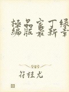 极品家丁绿帽改编版最新章节免费阅读