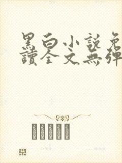 黑白小说免费阅读全文无弹窗