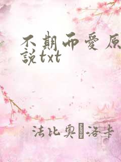 不期而爱原著小说txt