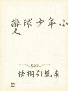 排球少年小说同人