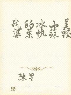 我的冰山美女老婆叶帆苏轻雪