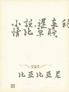 小说,迟来的深情比草贱