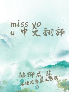 miss you 中文翻译