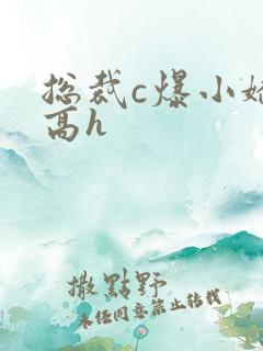 总裁c爆小娇妻高h