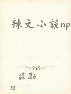 辣文小说nph